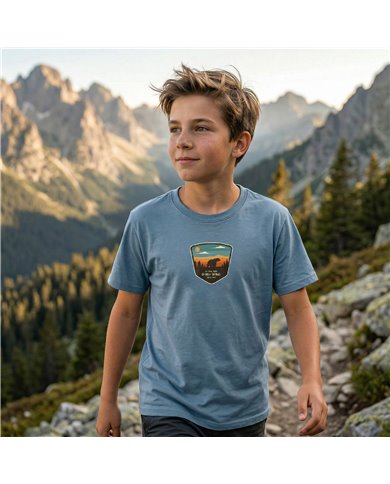TATLAND BOYS' T-SHIRT NATIONAL PARK